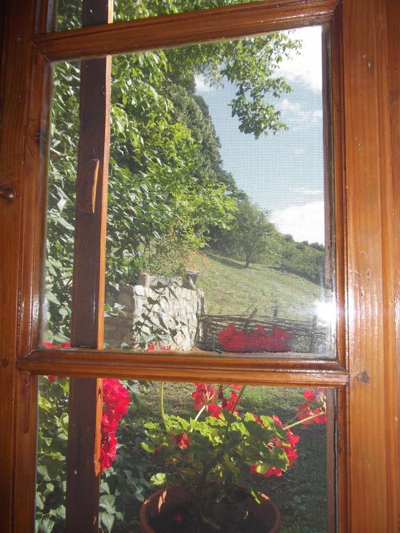 Tulipános Vendégház Obanya Extérieur photo