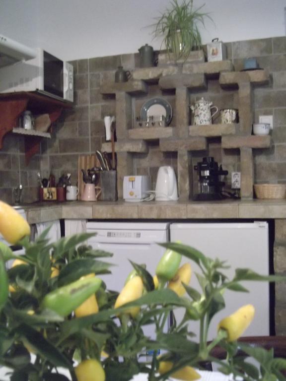 Tulipános Vendégház Obanya Extérieur photo